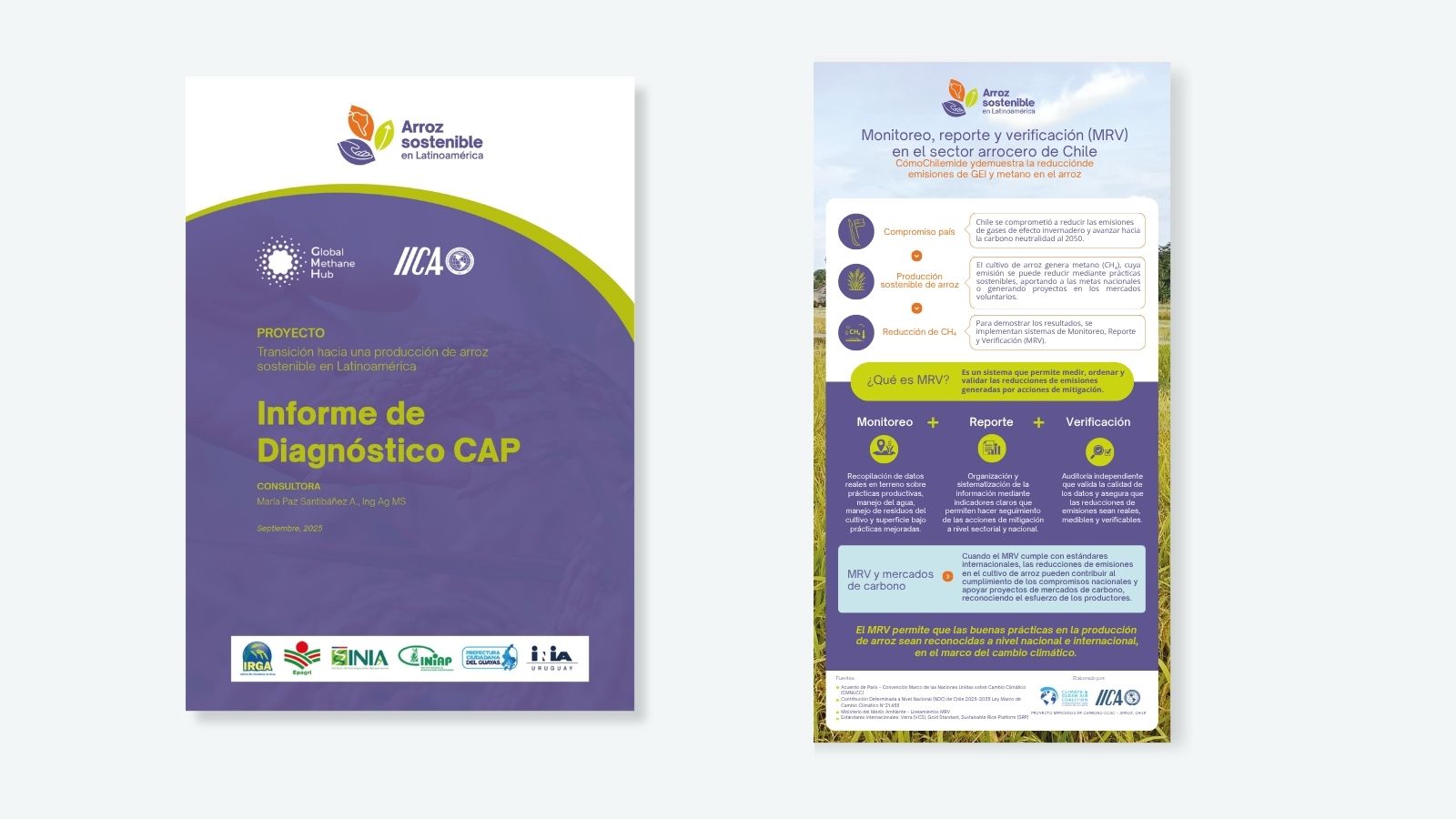 Informe de Diagnóstico CAP / Infografías