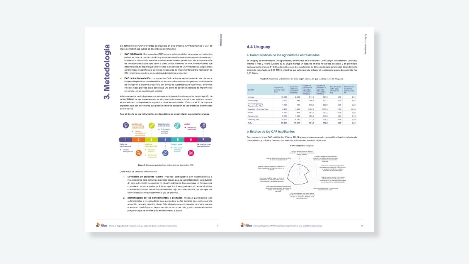 Informe de Diagnóstico CAP / Infografías — detalle 1