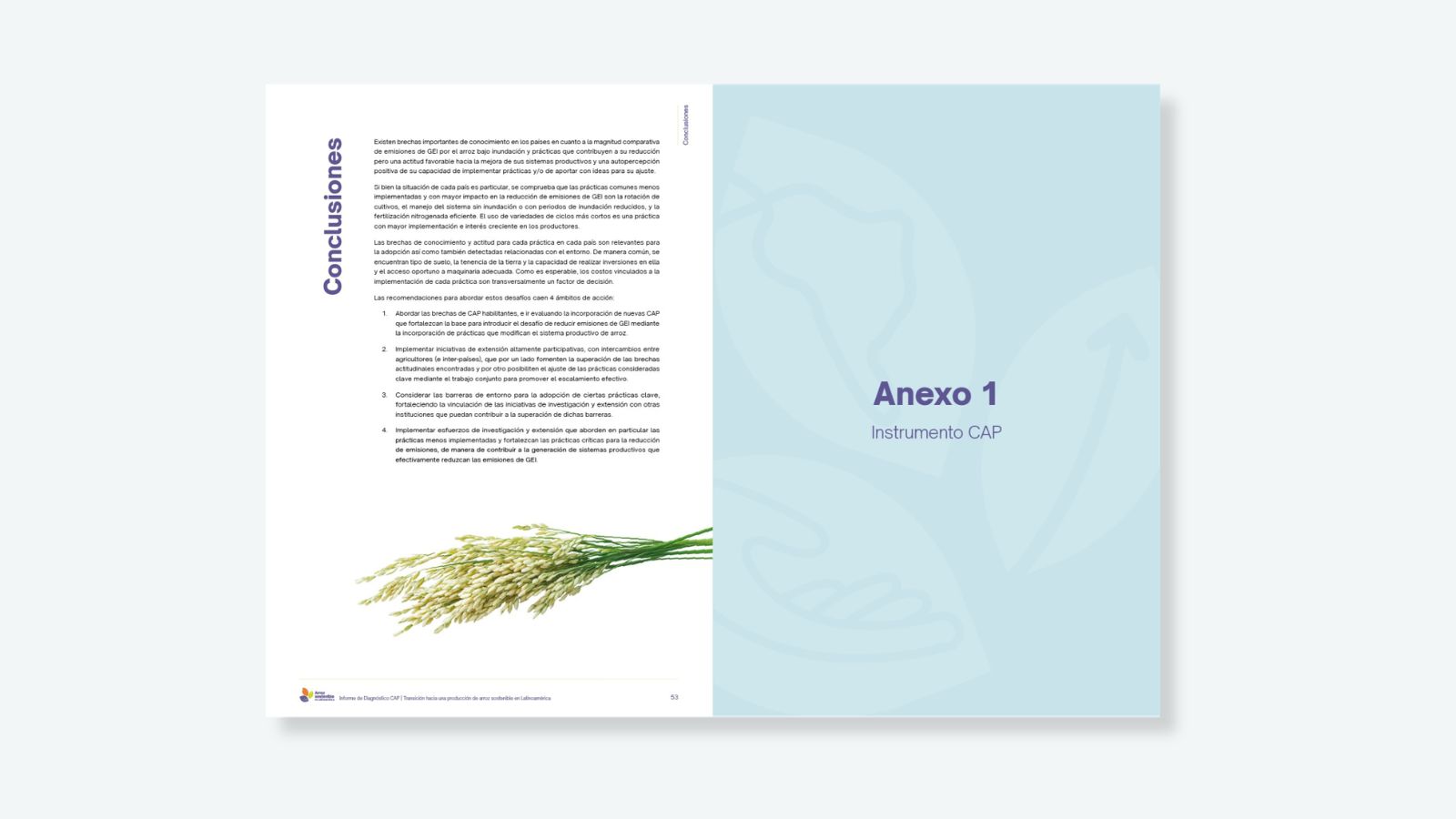Informe de Diagnóstico CAP / Infografías — detalle 2